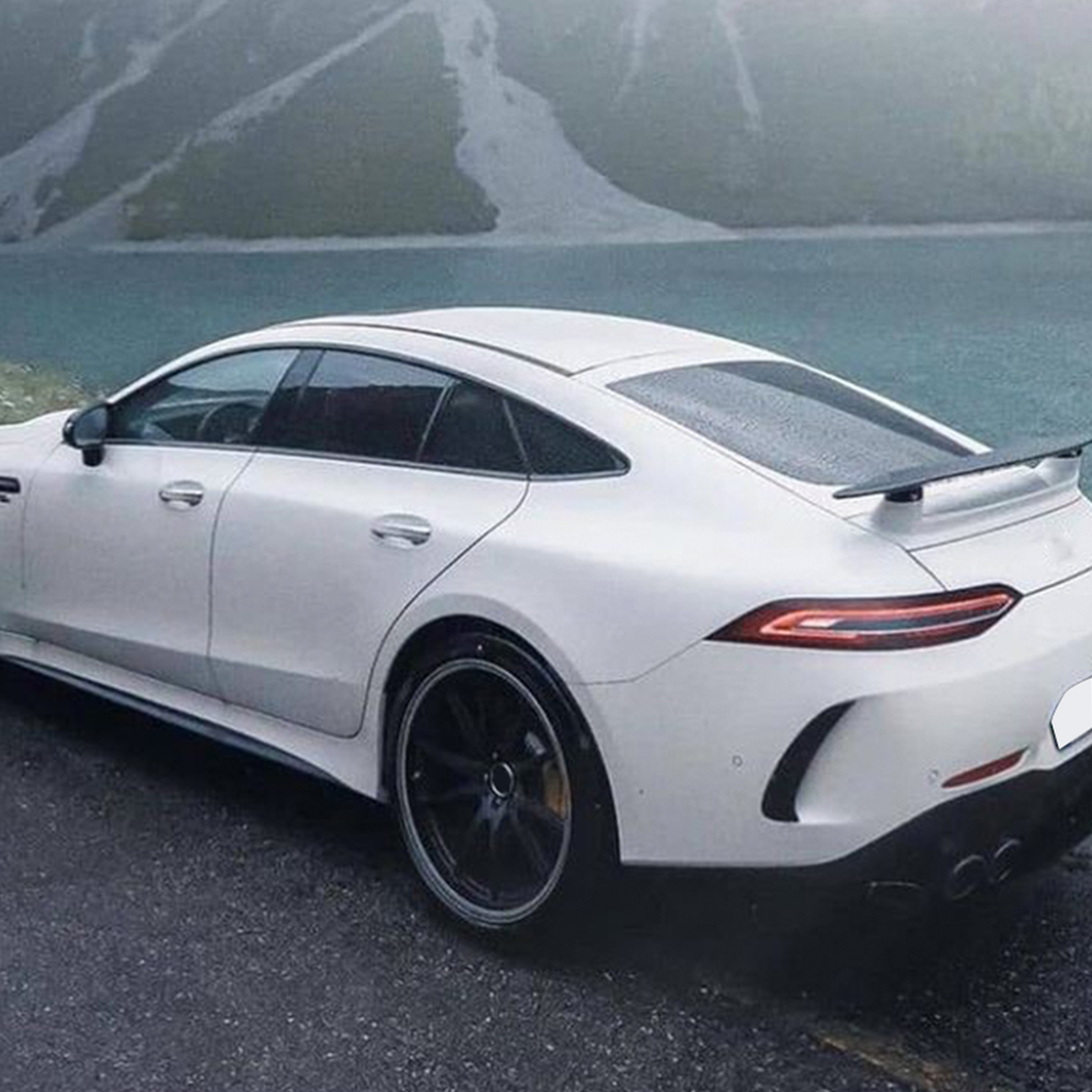 AMP-Z Rear Bumper Fins Spoiler Canards For Mercedes Benz AMG GT50 GT63
